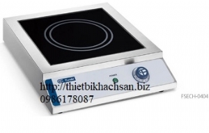 BẾP TỪ FSECH-0404