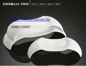 Đĩa chấm KXY-P0609